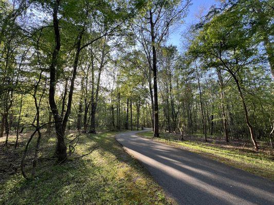 Wannamaker North Trail