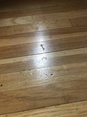 Floor damage