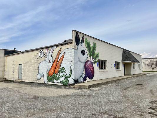 Rabbits mural