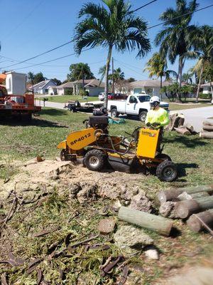 Stump grinding....no problem.