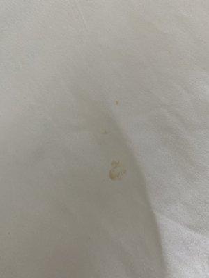 Stain on sheets and comforter