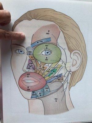 Facial retraining after Bell's Palsy and other facial weakness