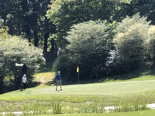 Hole #7, 139 yard Par 3