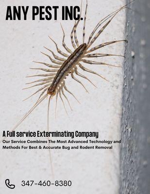 We can help with all your exterminating needs!