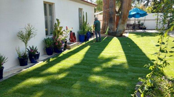 Sod Installation