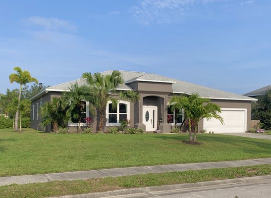 The new palms from MI Nursery are the ones on the left and the Christmas palm in the front. Going to add to that too!