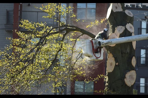 Heavy equipment used safely over delicate gravestones- Photo by Towson Times