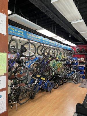 Bike rentals