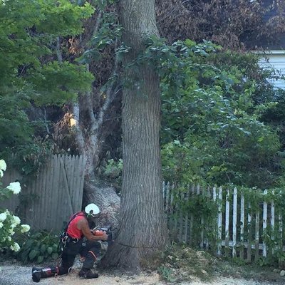 Rich doing storm damage clean up