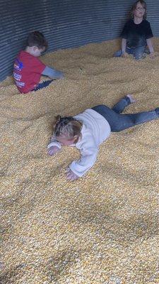 Corn silo - Excellent for children who love tactile experiences! I never knew mounds of dried corn would feel so satisfying!