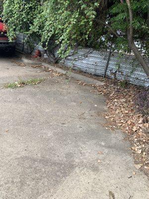 More debris, lots of trees hanging over the property.