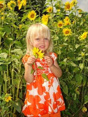 In season, sunflower fields at Elk Ridge Ranch.  Fun for kids and great for photos.