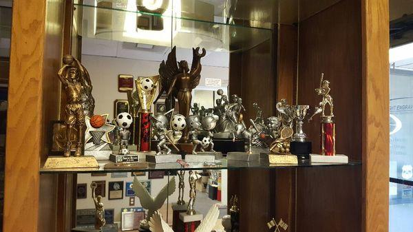 One of the Trophy Display Shelves