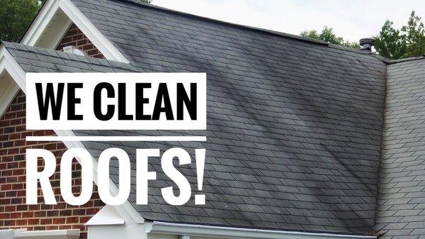 We clean roofs too!