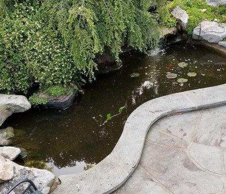 Aquaculture-BioMechanical Pond Maintenance