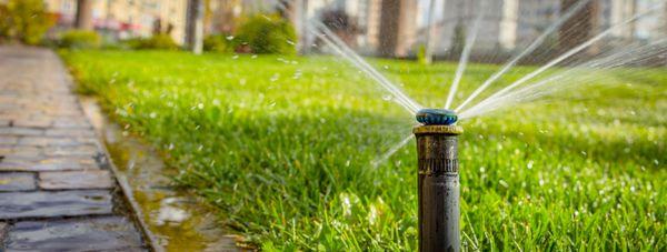 Hurricane Irrigation