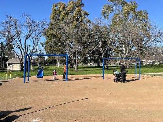 Swings - there's even a handicap swing (the blue one)