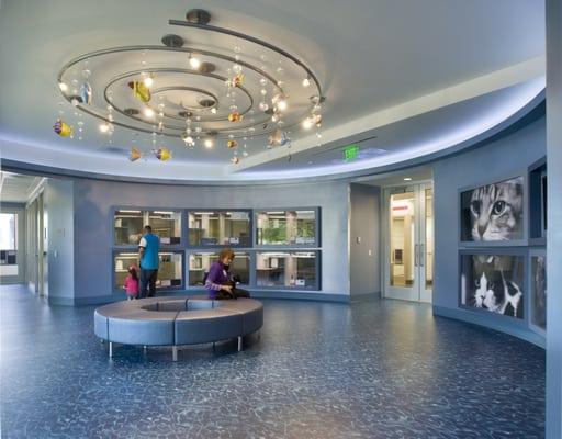 Inside the cat rotunda adoption area