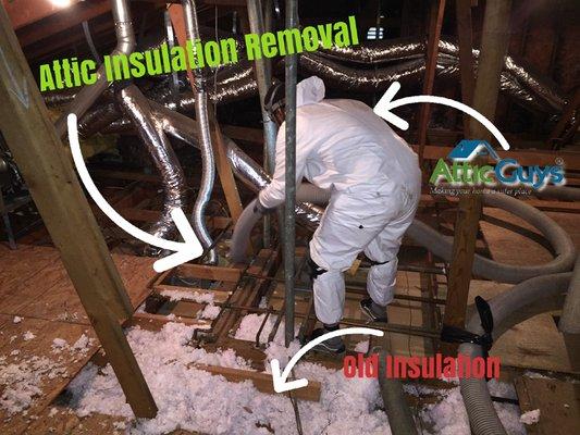 Attic Insulation Removal Artist at work in our customers attic. Removing old, contaminated blown and batt insulation.