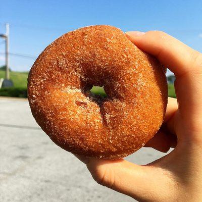 Apple cider donut