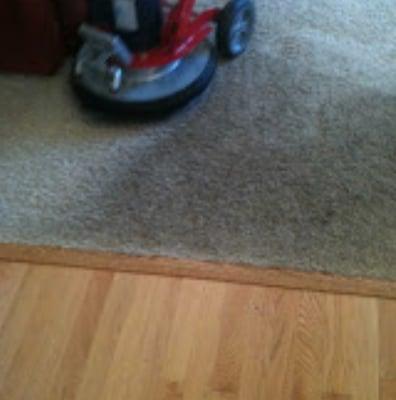 Cleaned carpet and hardwood floors in Waukesha