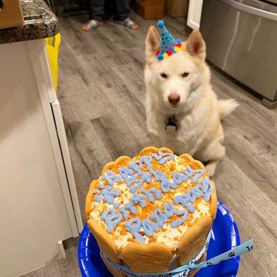 Pangpang loved that cake