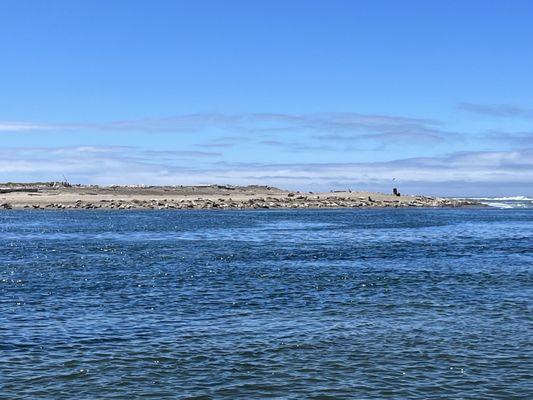 Siletz Bay Park