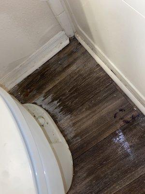 Toilet leak