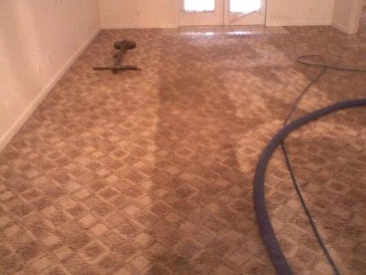 dirty enough to write our company name in it , but we can still restore it to fresh and clean -  www.jnccarpetsystems.com