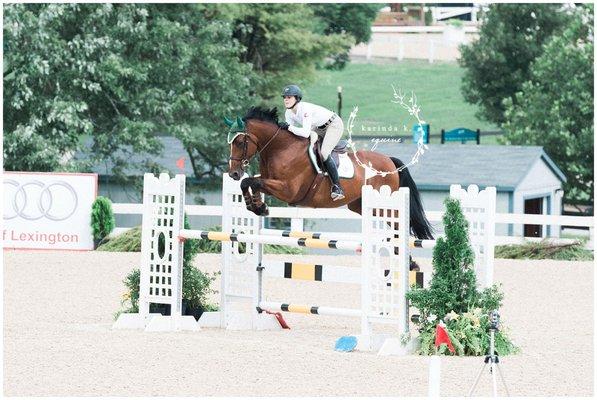 Lexington Kentucky Rolex Arena Bluegrass Horse Show Photography.