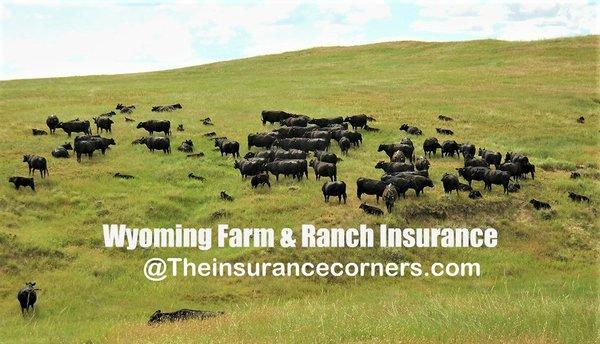 Wyoming Farm & Ranch insurance Quotes.