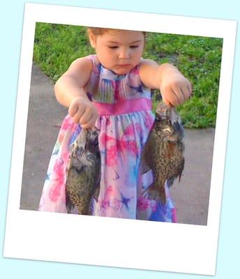 Teach a child to fish..