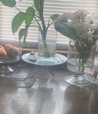 Cleaned and organized kitchen counter.