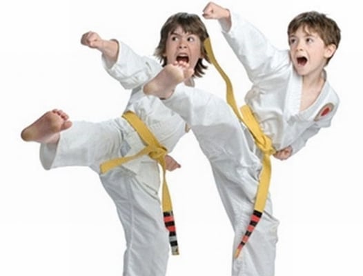 Clemmons Family Martial Arts