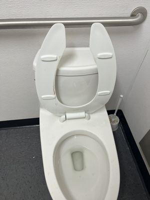 Bloody toilet