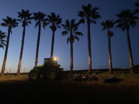 Maciel Family Farm