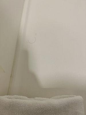 Hair in "clean" shower