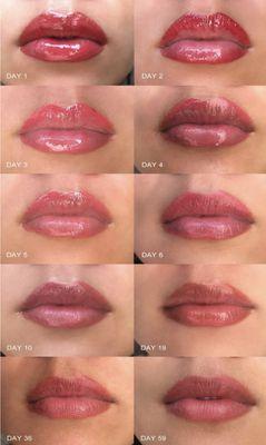 Lip Blush healing process.