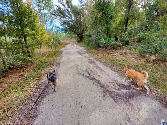 Macy and Zelda leading the way