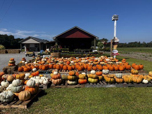 Autumn exterior view