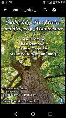 Cutting Edge Tree Service and Property Maintenance