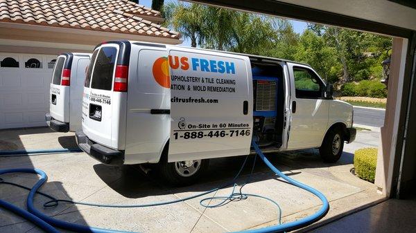 Citrus Fresh Carpet Cleaning