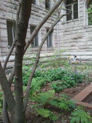 One of the beautiful gardens here in courtyard. Complete with plant identification.