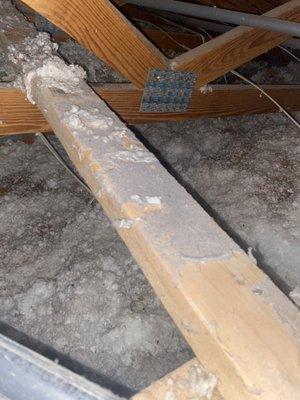 Lint in attic because they failed to fasten gooseneck to duct. Nor did they advise we needed to fasten it.