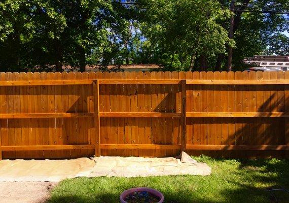 Finished Fence