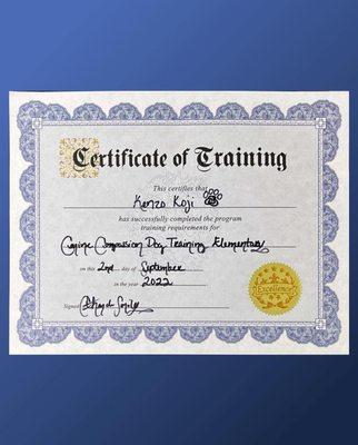 Kenzo Koji's Certifícate of Training