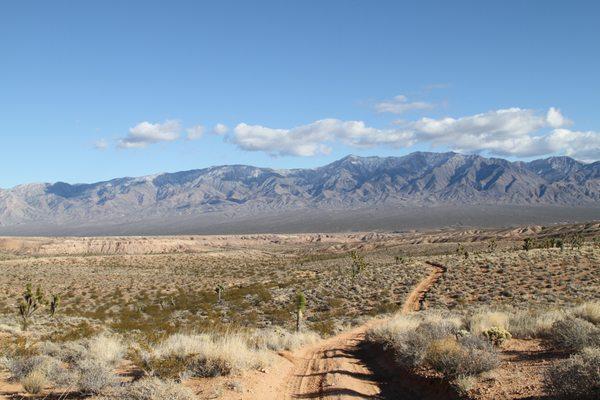 We have the best trail riding around here!