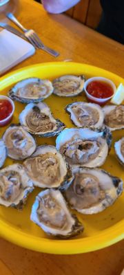 Raw oysters