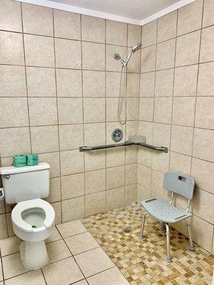 Accessible Guest Bathroom