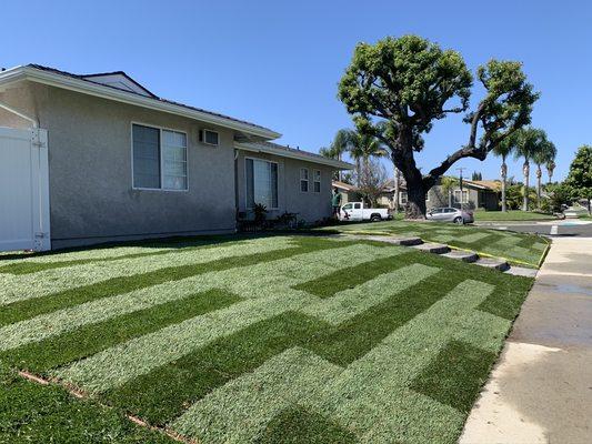 Marathon grass for this beautiful home in La Mirada, Ca. Call is for a free estimate. We have a network of landscapers from L.A. to O.C.